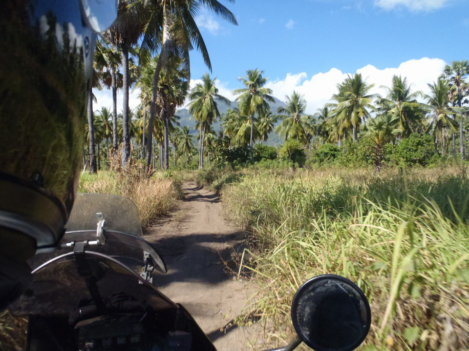 Flores - Maumere east, \"road to our bamboo\"