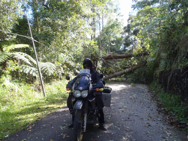 blocked road to the camp ground