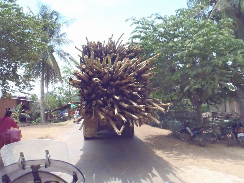 loaded sugar cane truck