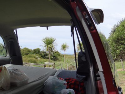 Tawharanui Regional Park, camp site with view to the beach