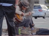 Auckland - street musician