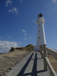 castelpoint-lighthouse-v
