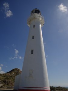 castelpoint-lighthouse-vi