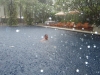 Swimming in the rain - Phuket