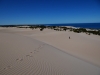 dune walk