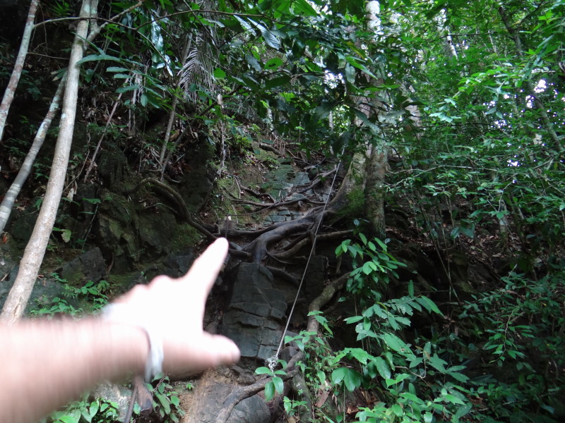 jungle trip to the waterfall top, \"Gunung Stong\"