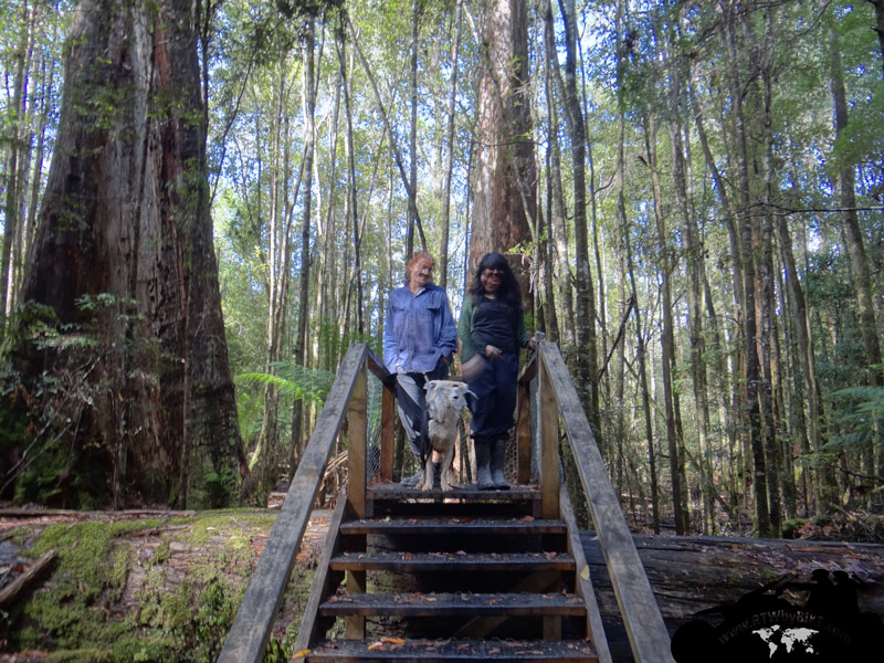 forest walk, Kerstin and Wen