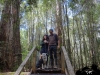 forest walk, Wen and Oscar