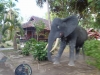 Sumbawa - the dry island, \"wild elephants\" ;-)