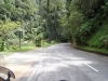 Cameron Highlands -leaving direction south