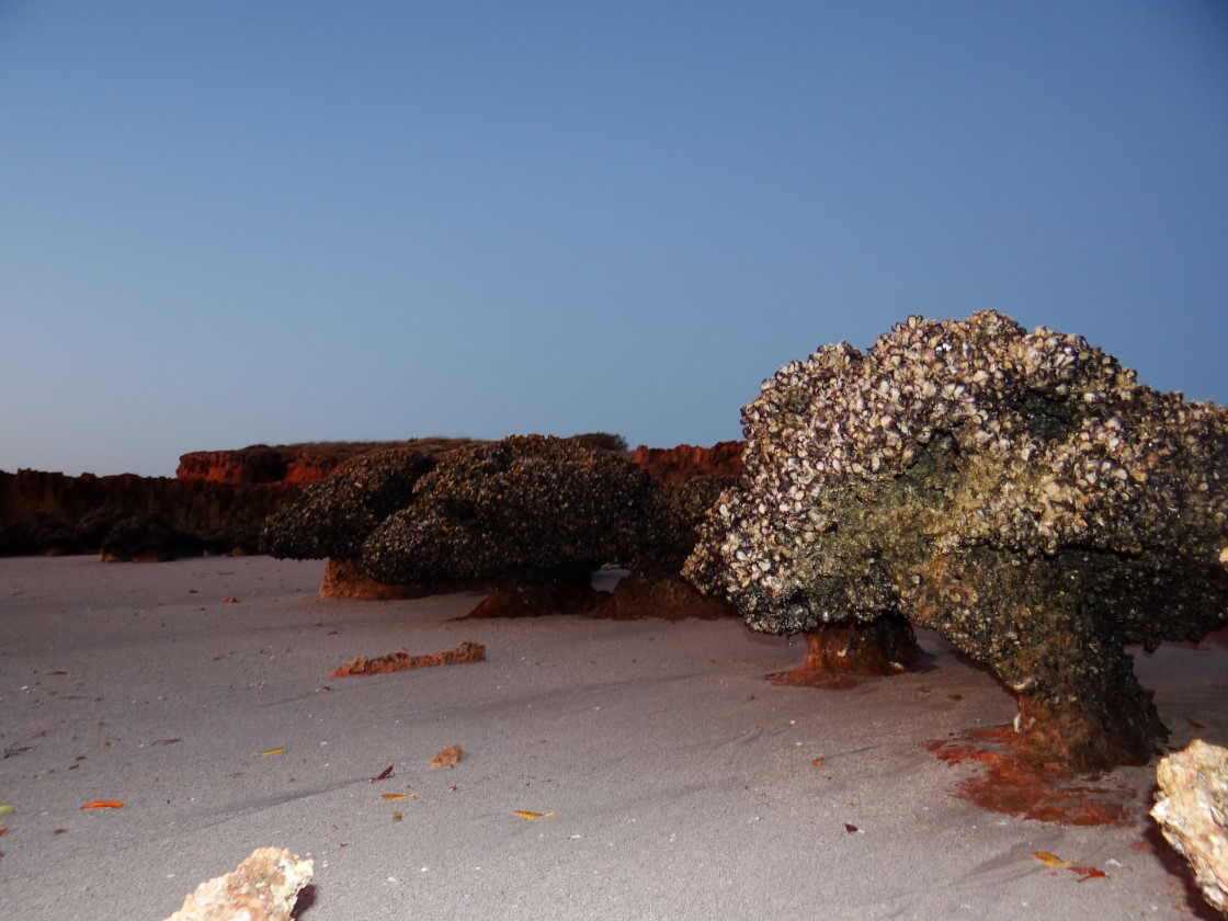 inspiring beach rocks, Cape Keraudren