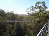 tree top walk 