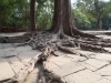 Angkor Wat