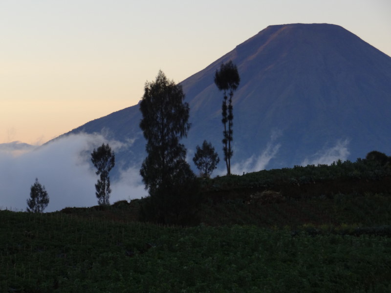 Dieng Plateau sits at 2,000 metres above sea level