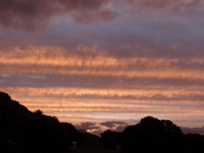 Tawharanui Regional Park, sunset