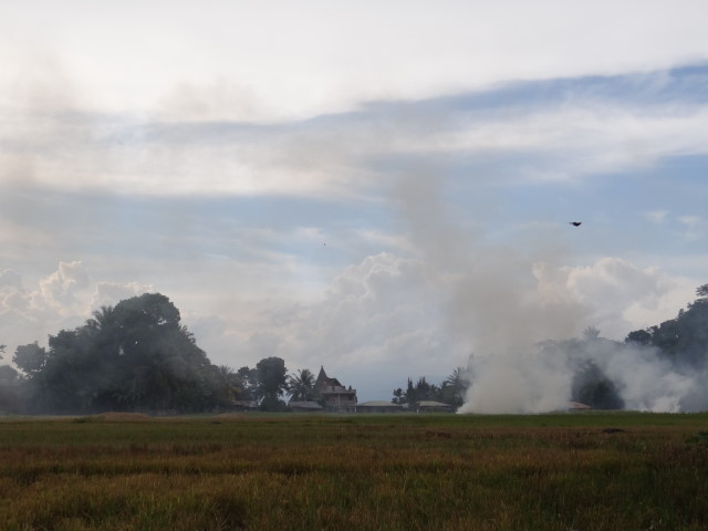 after the rice harvest - burning fields