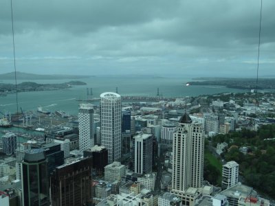Sky tower view