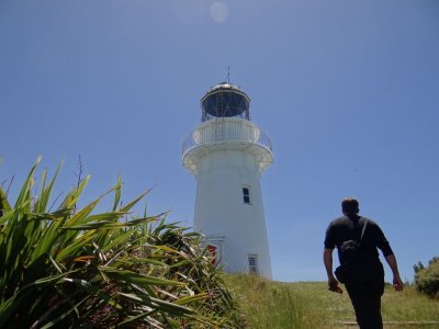 still up to the light house