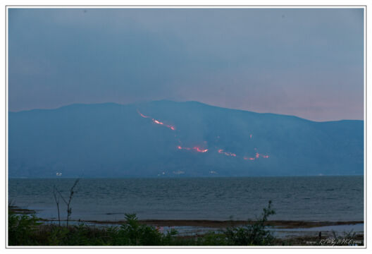 Skodra lake - sitting in Albania we can see the fire in Montenegro